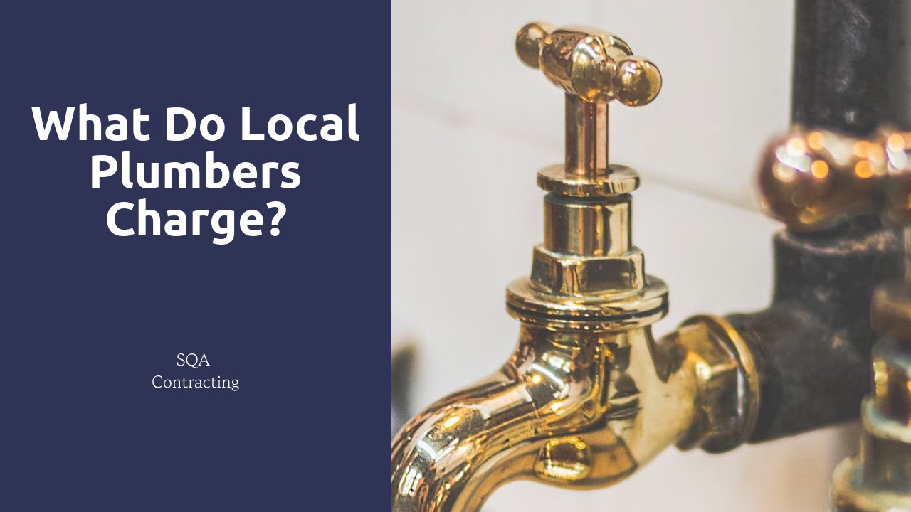 What do local plumbers charge?